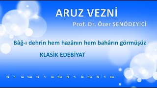 VEZİN bâğı dehrin hem hazânın hem bahârın görmüşüz  Prof Dr Özer ŞENÖDEYİCİ [upl. by Ahsyla500]