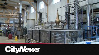 Association calling for change on how craft distilleries are taxed in Alberta [upl. by Martinson]