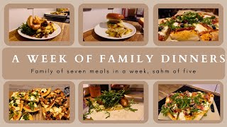 WEEK 51 FAMILY DINNERS OF THE WEEK  family of seven evening meal ideas meal plan🍝🥙 [upl. by Spragens]