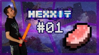 Hexxit ► Lets Play Česky ► 01 ► Nedostatek jídla ► synecek11 [upl. by Kenn]