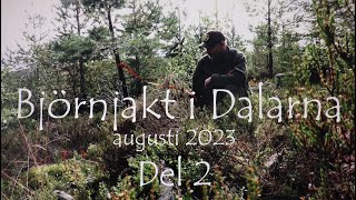 Björnjakt i Dalarna 2023 Del 2  Gångstånd och eftersök [upl. by Waddington737]