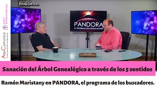 Sanación del Árbol Genealógico a través de los 5 sentidos Entrevista Ramón Maristany en PANDORA [upl. by Aundrea]