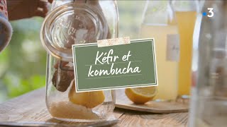 Atelier Zéro Déchet  Comment faire du kéfir et du kombucha [upl. by Honey]