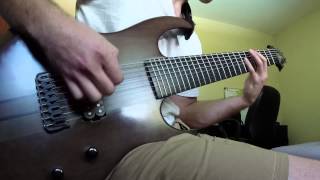 Meshuggah  Straws Pulled at Random  Guitar Cover by Tyler Nassiri [upl. by Vivia]