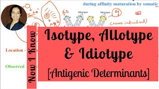 Isotype Allotype amp Idiotype – What is the Difference [upl. by Celie]