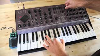 Synton Syrinx SN 1 Rare Purple Vintage Synthesizer Synth Demo3 Ring Modulation amp Filters [upl. by Shivers]