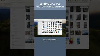 Apple Shared Library Setup amandalittlecott photoorganizing applesharing [upl. by Aivatal]