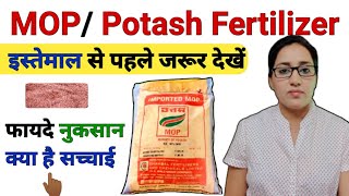 MOP Fertilizer  Muriate of potash  mop fertilizer benefits and uses  MOP fertilizer dose  Potash [upl. by Daly611]