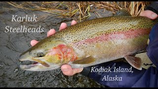 Karluk River Steelhead Fishing 2018 [upl. by Annatnom612]