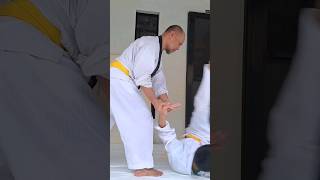 Wrist Twisting Technique  Aikido Kotegaeshi aikido japanmartialarts aikidodojo aikidolife [upl. by Alisan]