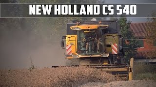 New Holland CS540  Harvesting 2016 [upl. by Sheree]