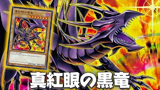 Triple RedEyes 🔥  RedEyes Black Dragon DECK 2024 ft RedEyes Flare Metal Dragon  YGOPRO [upl. by Mullane]