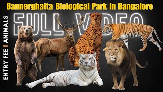 Bannerghatta Zoo An Unforgettable Adventure Bangalore Best Zoo [upl. by Rafaelof]