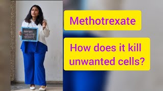 How does methotrexate kill unwanted cells or ectopic pregnancy [upl. by Lednahc]