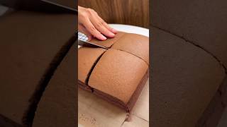 Chocolate Taiwanese Castella Sponge Cake ☁️🍫  초콜릿 대만 카스테라 만들기 [upl. by Joktan]