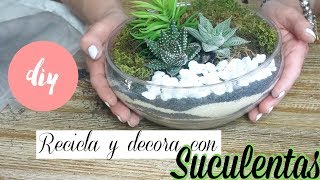 Adornando la CASA con Suculentas 🌵 RECICLANDO ENVASES Y DECORANDO [upl. by Pauiie]