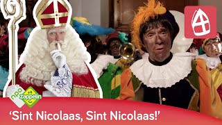 HOOR WIE KLOPT DAAR KINDEREN  Sinterklaasliedjes  NPO Zappelin [upl. by Darwin]