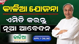 Kalia Yojana New Apply Online 2023  Kalia Yojana Online Apply eKyc  How To Apply Kalia Yojana [upl. by Deanna]