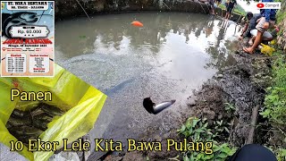 3X Penebaran Kita Dapat 10 Ekor Ikan Lele di Sungai Pura Sempua Dalung [upl. by Lombard270]