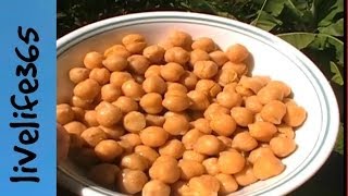 How toEat Chickpeas Garbanzo Beans [upl. by Daphne]