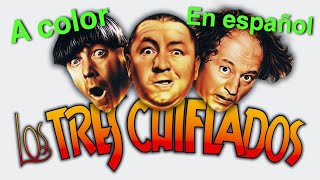 Lo mejor de Los Tres chiflados A color Audio Latino [upl. by Warila]