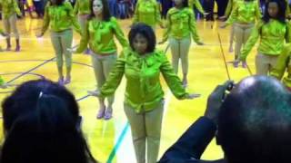 Beta Psi Chapter of Alpha Kappa Alpha Sorority Inc Fall 20 [upl. by Stambaugh517]