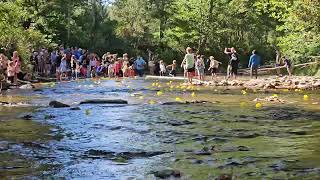 2024 Valle Crucis Duck Race Finish [upl. by Ohaus973]