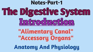 The Digestive System Introduction Alimentary Canal Accessory OrganPart1GnmBsc1st [upl. by Knight]