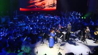 The Dark Knight  Hans Zimmer J Newton Howard  LIVE [upl. by Fortna519]