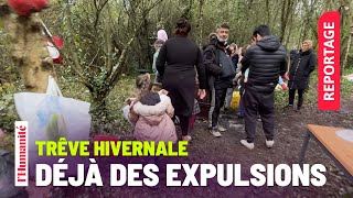 Trêve hivernale  Et ils sont expulsés [upl. by Faythe]