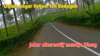 Dalan Anyar Kebun Teh Bedagah jalur alternatif menuju ke Dieng [upl. by Cormier]