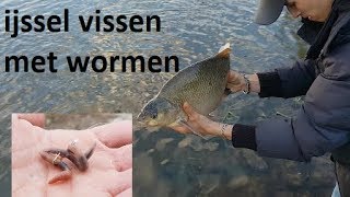 Vissen in de ijssel met wormen  Fishing in a river with worms [upl. by Viehmann]