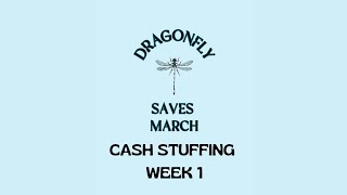 Wallet and Cash Envelope Stuffing March Week 1 [upl. by Engedi]