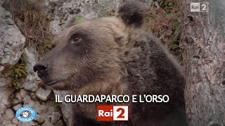 IL GUARDAPARCO E LORSO [upl. by Otrebire998]