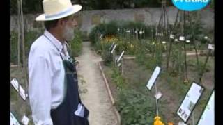 Comment implanter et orienter un potager [upl. by Yanttirb]