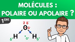 Déterminer la polarité dune molécule  Première  PhysiqueChimie [upl. by Annelise]