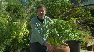 Gardeners World 2024 Eps 20 Full [upl. by Coletta381]