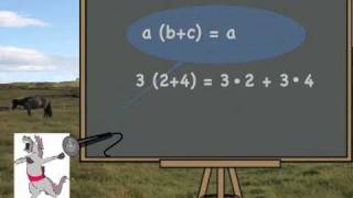 Distributive Law Song Cycle 2 Week 23 [upl. by Dlonyar]