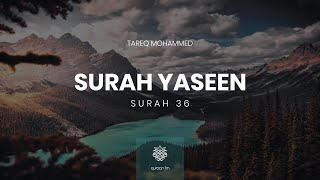 Surah Yaseen  Qari Tareq Mohammed  سورة يس  القارئ طارق محمد [upl. by Nnylsaj]