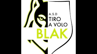 Speciali Arizona tv  ASD Blak  Tiro a Volo 6 Prova gara sociale  Fossalta di Portogruaro  Ve [upl. by Annoiek634]