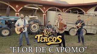 Los Tercos  Flor de Capomo [upl. by Eeldarb]