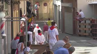 Encierro Fiestas 2024  San Adrián [upl. by Sadler]