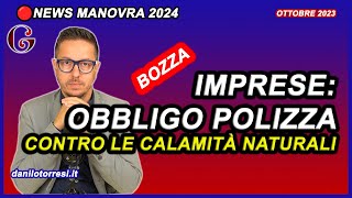 POLIZZA contro la calamità naturali obbligatoria per le IMPRESE  ultime notizie manovra 2024 [upl. by Sommer155]