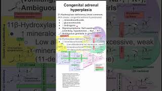 Congenital adrenal hyperplasia [upl. by Soren]