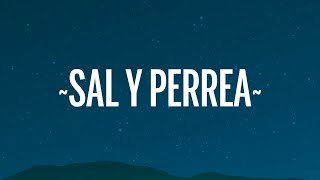 Sech  Sal y Perrea LetraLyrics [upl. by Pulling877]