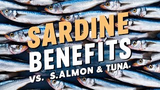 The Amazing Health Benefits of Sardines Fun Facts amp Comparison with Salmon and Tuna [upl. by Ytinav]