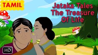 Jataka Tales  Tamil Short Stories For Children  The Treasure Of Life  Animated Stories [upl. by Aneelehs]