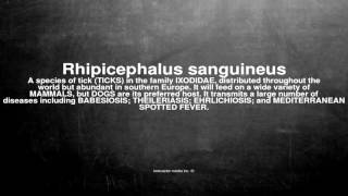 Medical vocabulary What does Rhipicephalus sanguineus mean [upl. by Chara169]