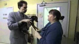 Borat deleted scene  Dog Pound [upl. by Nikos]