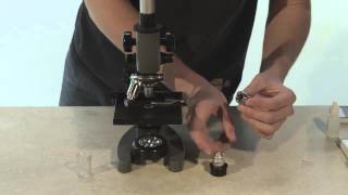 How to Use a Microscope [upl. by Hsara]